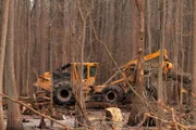 Fourth generation logger Bobby Goodson is one of the rare breed of swamp-loggers working the murky, dangerous swamps of North Carolina in search of high value timber for everything from paper products to construction grade lumber.