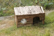 Das perfekte Meerschweinchenhaus für den Garten. Tierreporterin Anna stellt es vor.
