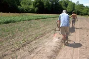 Permakultur - Landwirtschaft im Kreislauf der Natur.