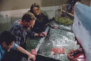 Nehmen den Kampf gegen die Haie auf: Fin (Ian Ziering, M.), George (John Heard, l.) und Nova (Cassandra Scerbo, r.) ...