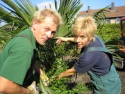 Die Landschaftsgärtner Susanne und Michael bringen den Zechenhaus-Garten auf Hochglanz: Mit Palmen, Bananenstauden und mediterranen Gewächsen holen sich die beiden den Süden ins Ruhrgebiet!
