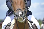pferd, springen, pferdesport, reiten, wettbewerb, galopp, aktion, veranstaltung