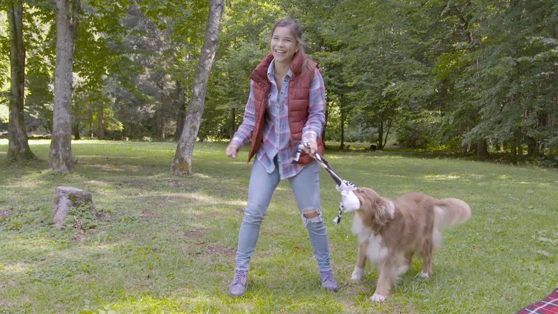 Anna Und Die Wilden Tiere Hunde
