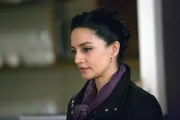 Archie Panjabi (Nas Kamal).