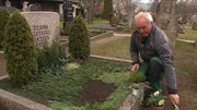 Ein Friedhofsgärtner gestaltet die Bepflanzung einer Grabstätte.