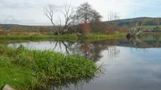 An der Naab, bei Pfreimd.