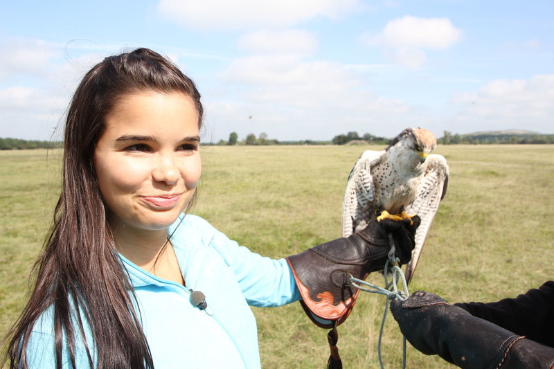 Anna Und Die Wilden Tiere Kaninchen