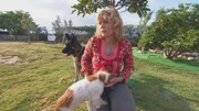 Spanien-Auswanderin Susanne Nowak kämpft um ihr Tierheim in Alicante.