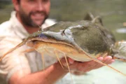 Möchte das Geheimnis der Monsterfische im Mekong ergründen und herausfinden, welchen Weg, also welche Flussarme, die Fische bei ihrer Wanderung benutzen: Dr. Zeb Hogan ...