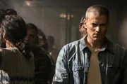 Wentworth Miller