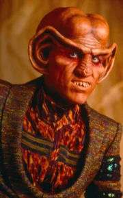 Quark (Armin Shimerman )