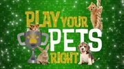 (1. Staffel) - Game of Pets - Artwork