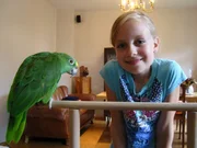 Die 9-jährige Eva liebt Papageien. Sie bringt ihnen kleine Kunststücke bei. Papagei Jacko singt „Hänschenklein“ und mit Berta kann Eva Tricks machen, die die beiden auf der Sesamstraßen-Bühne vorführen.