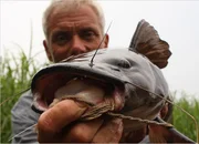 Jeremy Wade with a Catfish.