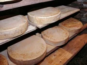 Käse