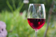 Wein