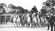 Berittene Schutzpolizei 1938