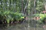 Der Spreewald