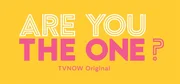 Logo "Are you the One?"