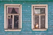 Eine Katze am Fenster in Suzdal