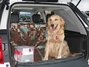 der Hund auf der Reise