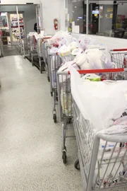 Erin, shopping carts lined up.