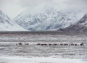 Karawane: Der Wakhan Korridor trennt Tadschikistan von der Nordprovinz Pakistans. Er ist 350 km lang und 13-65 km breit.