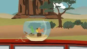 Ein kleiner Fisch reist in einem Aquarium, das auf einem Autodach steht, durch die W??ste.