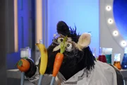 Vorhang auf für die Sesamstraßen-Musik-Show mit Ernie und Bert. Pferd singt ein Lied vom Saftmischen und Ernie sorgt für Chaos im Studio.