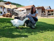 Kates Reise beginnt in Niederbayern auf dem Erdlingshof. Hier, wo viele gerettete Tiere ein neues Zuhause gefunden haben, leben auch zwei wunderbare Freundinnen. Hängebauchschwein Bonnie und Gans Möp Möp.