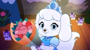 Le petit paradis des Palace Pets