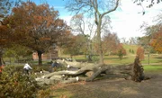 Hurricane sandy, damage, Brooklyn, New York City.