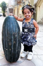 ***EXCLUSIVE***

NAGPUR, INDIA -DECEMBER 08: Jyoti Amge, 18, poses for a picture with a watermelon on December 08, 2011 in  Nagpur, India.

A teenager the size of a large watermelon became the world?s smallest woman after turning 18 today (FRIDAY).  Tiny two feet tall Jyoti Amge, of Nagpur, India, celebrated the occasion with a birthday cake almost as big as her.  Jyoti, who was already widely regarded as the world?s smallest girl, is anxiously waiting for confirmation she has grabbed the title from 2ft 3in American record holder Bridgette Jordan.

PHOTOGRAPH BY Richard Grange / Barcroft India

UK Office, London.
T +44 845 370 2233
W www.barcroftmedia.com

USA Office, New York City.
T +1 212 796 2458
W www.barcroftusa.com

Indian Office, Delhi.
T +91 11 4101 1726
W www.barcroftindia.com