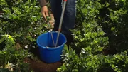 Welche Eigenschaften hat mein Gartenboden? Was und wieviel muss ich düngen? Das Untersuchungsergebnis einer Bodenprobe gibt Antworten auf diese Fragen. Querbeet zeigt, wie es geht.