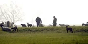 Nach dem Rechten sehen
(Foto für alle Folgen)