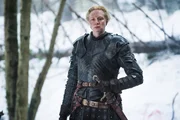Brienne z Tarthu (Gwendoline Christie)