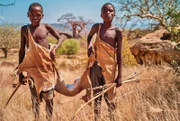 Endlich ein Jagderfolg - Maiya und Maua habeneine Dikdik Antilope erwischt.