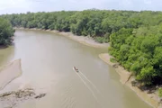 São Caetano de Odivelas im Nordosten von Pará ist berühmt für seine Flusskrebse - und seit neuestem auch für seine Austernzucht.
