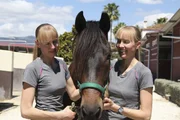 Die Tierheilerinnen Kai und Rike van der Veerd.