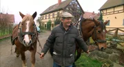 Jürgen spannt die Pferde an