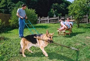 Christian Böck (Heinz Weixelbraun, r.) entspannt sich in Alexanders Garten, während Brandtner (Gedeon Burkhard, l.) und Rex schwer schuften...