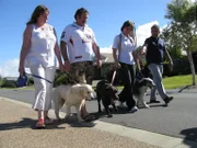 Cesar Millan (r.) macht sich auf den Weg nach Australien, um verzweifelten Hundebesitzern zu helfen und deren Vierbeiner von kleinen und großen Neurosen zu befreien ...