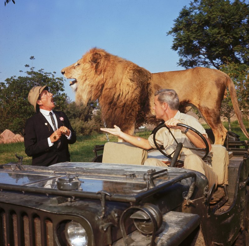 Daktari Clarence Der Schielende Löwe Spielfilm Auf Dvd Daktari Bilder – TV Wunschliste