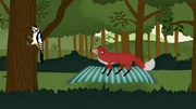 Ein Fuchs reist auf einem fliegenden Teppich durch den Wald und trifft viele andere Tiere.