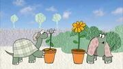 Die Schildkröten erzählen, was Kindern zum Thema Schämen einfällt.