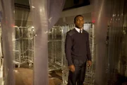 Chris (Ashley Walters)