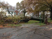 Hurricane sandy, damage.