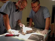 Ein Greifvogel in der Forensik.