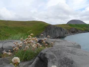 Die wilde Natur Islands fasziniert die vier jungen Deutschen.