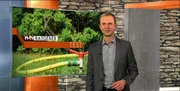 Torsten Knippertz im Studio